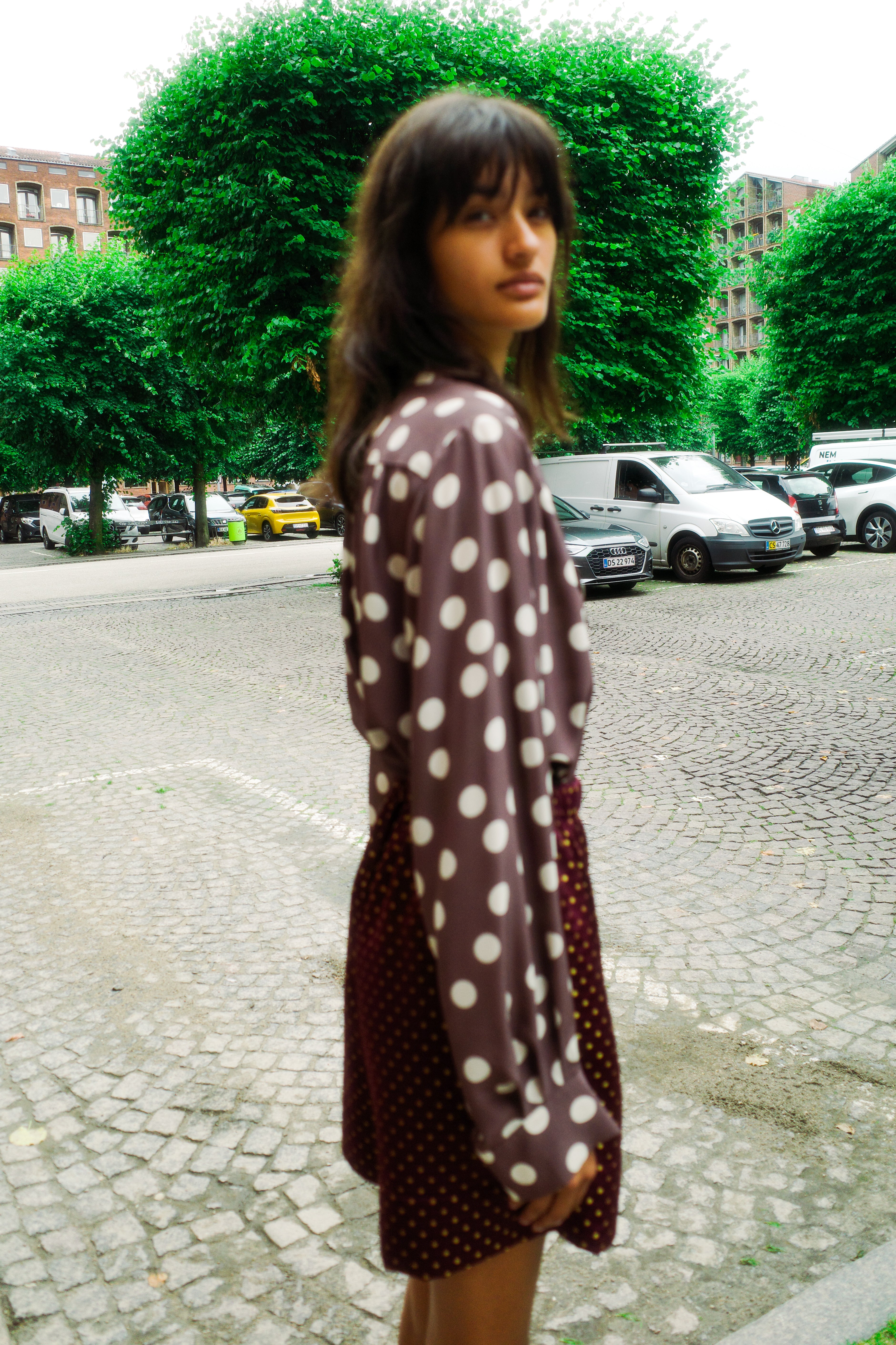 Bonsai Shirt - Brown w. Cream dots