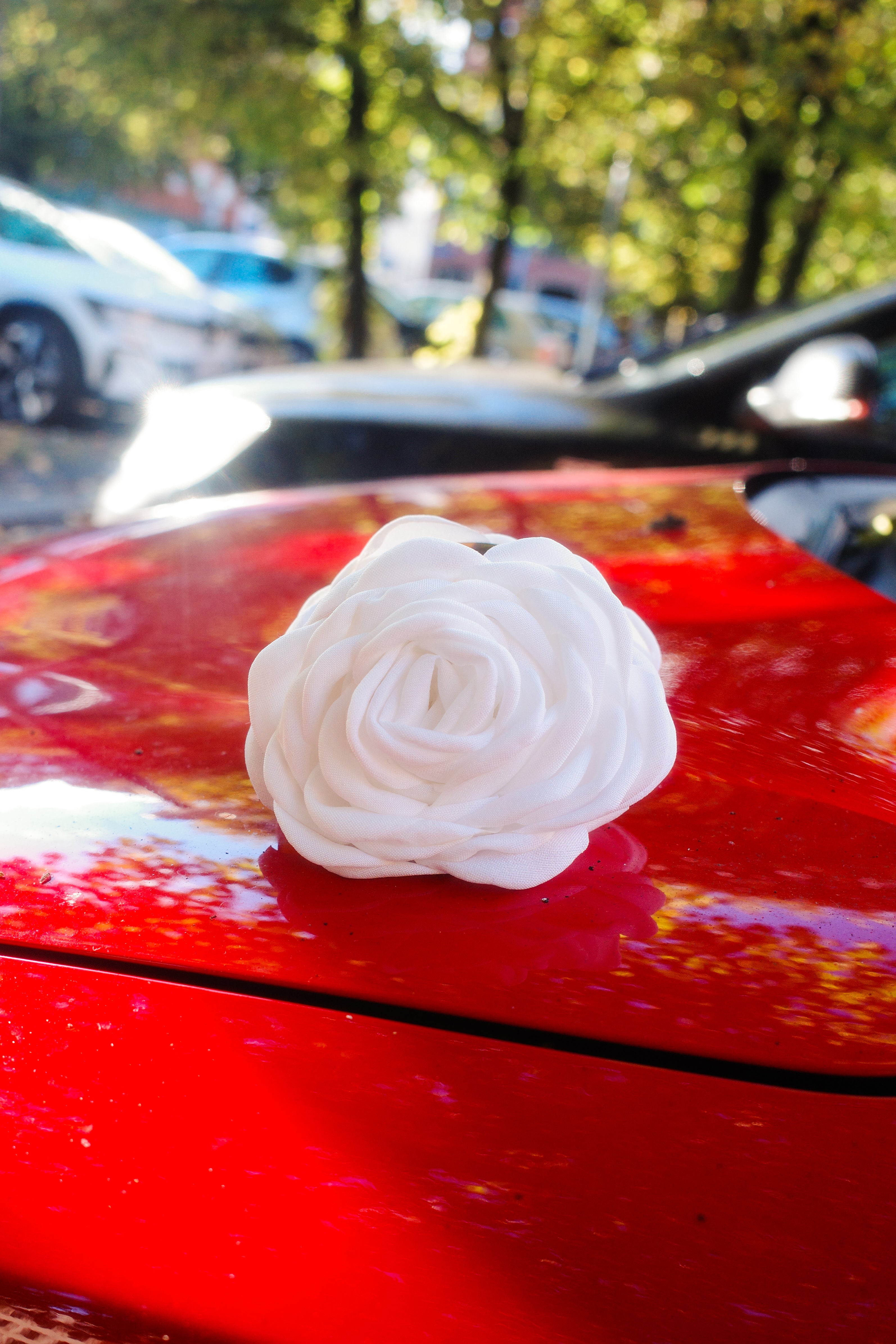 Rosie Hair Clip - White