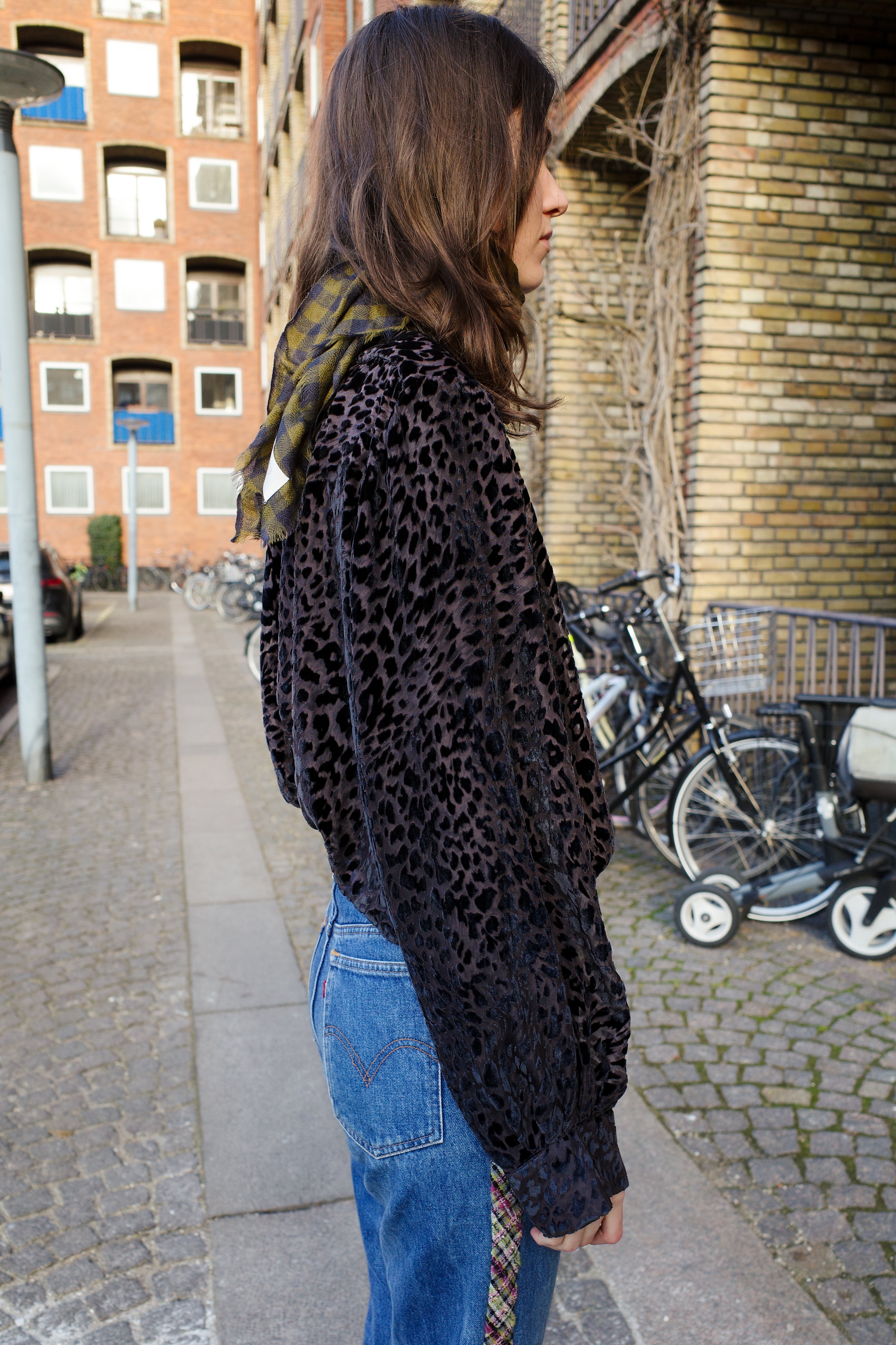 Bonsai Shirt - Leo Velvet